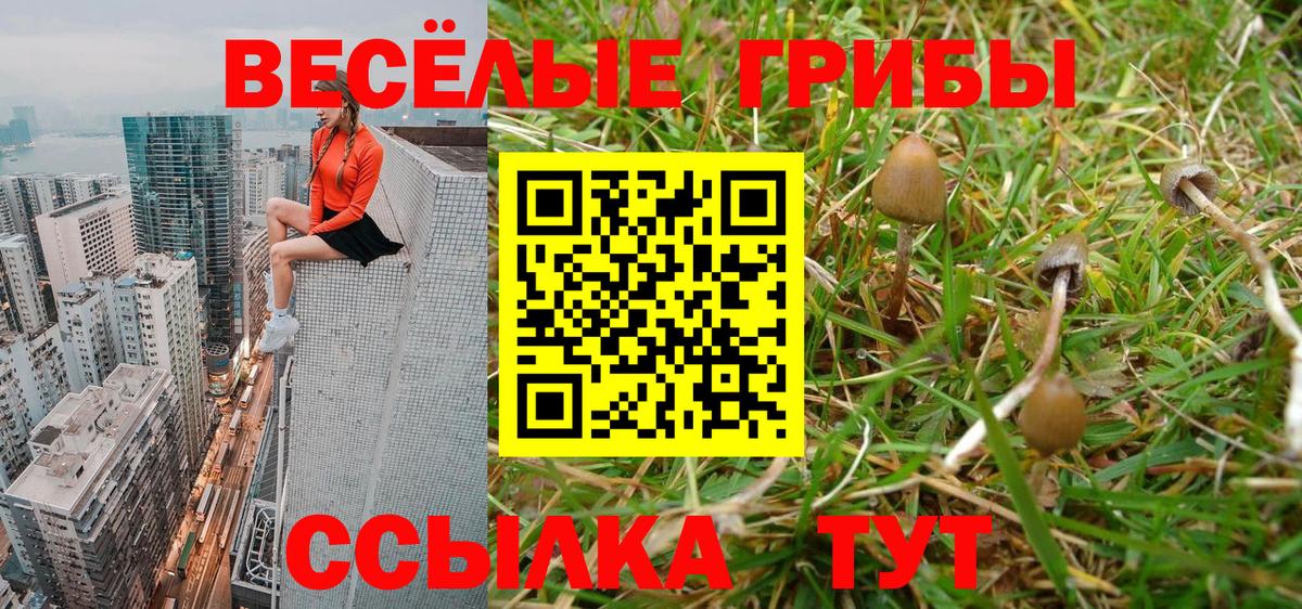 Галлюциногенные грибы ЛСД Абакан